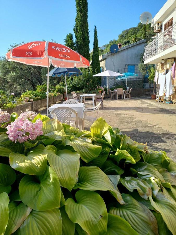 Apartments Andjus Ilha Sveti Stefan Exterior foto